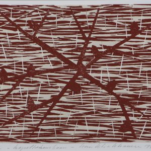 Klinkhamer, Han - Kapellekensbaan - 1999