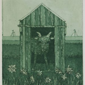 Haas, Laetitia de - Geitje - 1979