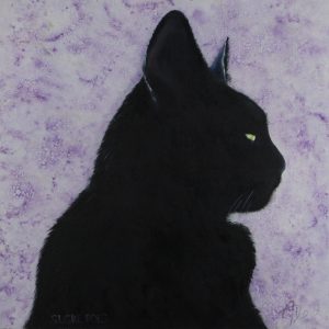 Veenedaal, Axel - Suske poes