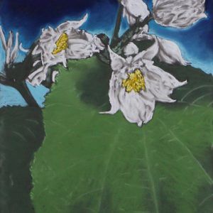 Onbekend - zonder titel