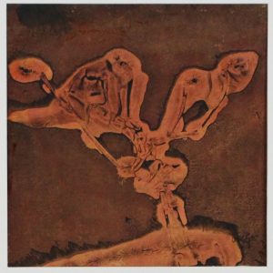 Westerop - Voortbestaan 39