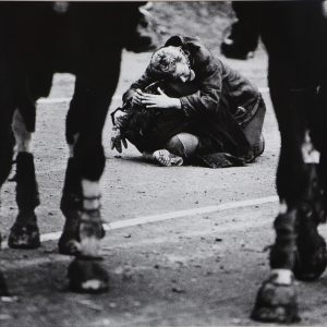 Rikken, Freddy - zonder titel