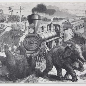 Gravure - Aanval van een kudde olifanten