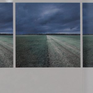Dekkers, Ger - Fresh-cut grass in meadow, Flevoland