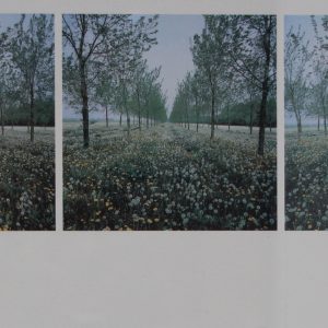 Dekkers, Ger - Wood and dandelions, Flevoland