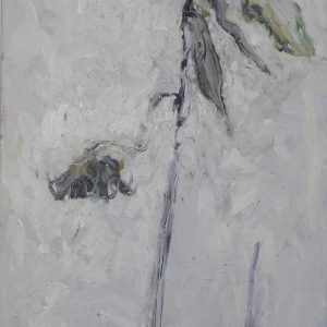 Goldsteen, Didje - zonder titel