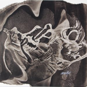 Westerop, Frans - zonder titel