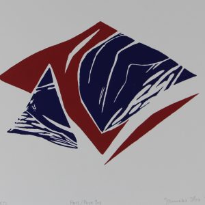 Slot, Janneke - Pass/Page By - 1999