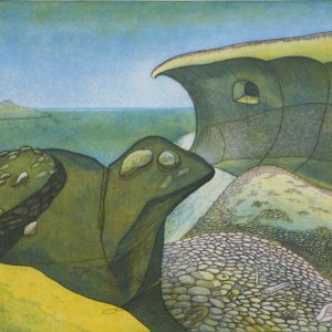 Clous, Rob - Versteende vormen - 1980