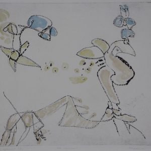 Heyden, M. v.d. - De optimist - 1978