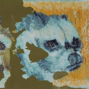 Strik, Berend - Loewie de loewak