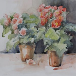 Oss, Diny van - Begonia's - 1989