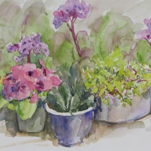 Oss, Diny van - Plantenpotten - 1997