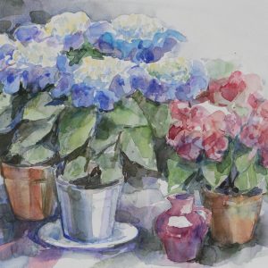 Oss, Diny van - Hortentia's - 1993