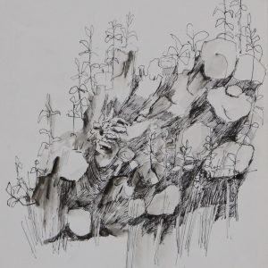 Oss, Diny van - zonder titel -