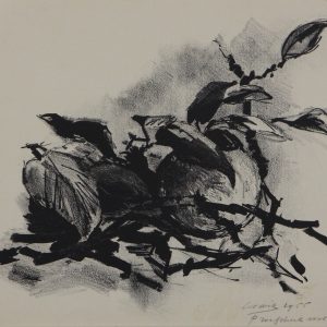 Dik, Cor - zonder titel - 1955