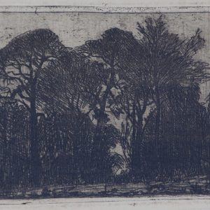 Goedvriend, Theo - zonder titel -