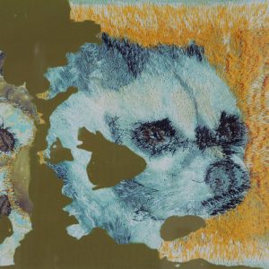 Strik,  Berend - Loewie de Loewak -