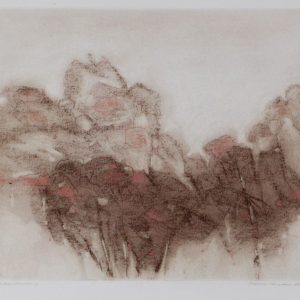 Wee, Harry van der - Paddestoelen - 1979