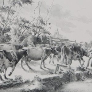 Wit, Kees de - Koeientrek III - 1978