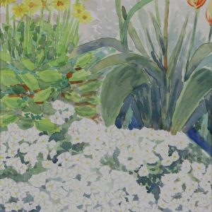 Spaargaren, Hans - in mijn tuintje - 1993