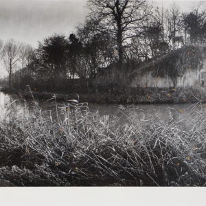 Toussaint, Dolf - zonder titel - 1986