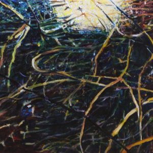 Eerenbeemt, Nathalie van den - naar het licht - 1993