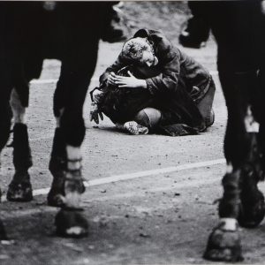 Rikken, Freddy - zonder titel -