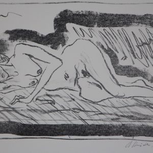 Dister, Harry - zonder titel -