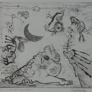 Heijden, M. vd - Vogels -