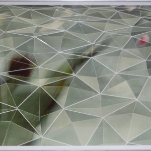 Wel, Jasper van der - zonder titel -