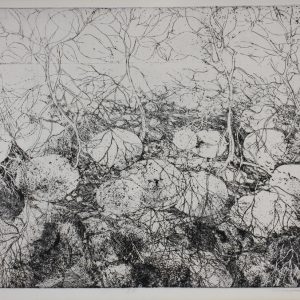 Iperen, Arno van - zonder titel - 1979