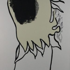 Molin, Lei - Canto General - 1989