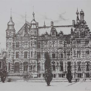 Sijnja, Erica - zonder titel -