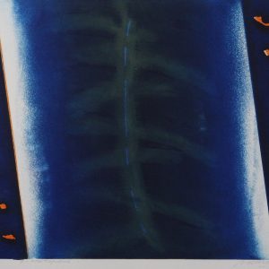 Willemen, Ad - zonder titel -