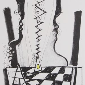 Dool, Rein - Schaakmat - 1996