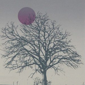 Wood, M. - Wintertree -