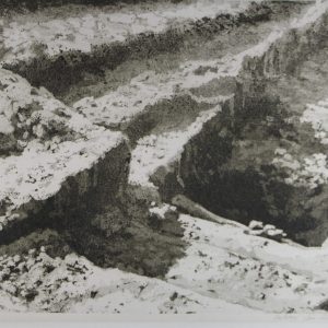 Lieshout, Antony van - opgraving -