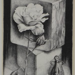 Volkeren, Harm van - zonder titel -