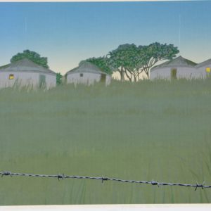 Veld, E. - Zululand ii - 1979