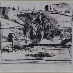 Zander, F. van der - Nevellandschap met treurwilg - 1977