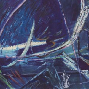 Horst, J. vd - schreeuw door het heelal - 1977