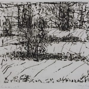 Cox, Peter M.G. - Buiten IV - 1979