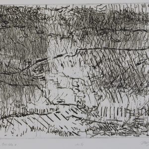 Cox, Peter M.G. - Pyrenées Orièntales - 1978