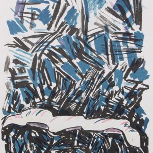 Silder, Paul - Dode Slang -