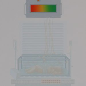 Sonnemans, Pieter - Ontwikkeling II - 1980