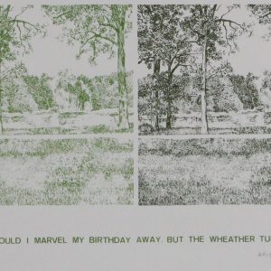 Stronks, Arie - And there could i marvel my birthday away - 1973