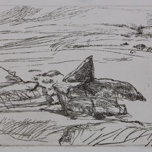 Bertus, Peter - Rough Top - 1981