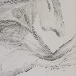 Nawijn, Freek - zonder titel - 1984