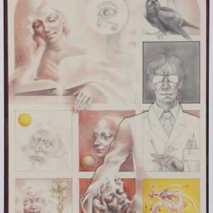 Vergunst, Daan - Tamme kraai in de uitdragerij - 1974